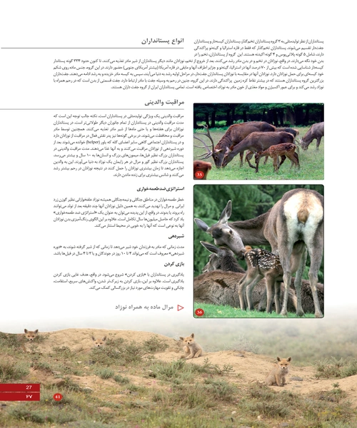 اطلس پستانداران ایران - نمونه چهارم - جزیره کتاب های الکترونیکی